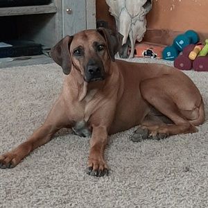 Meet your Posher, Holly